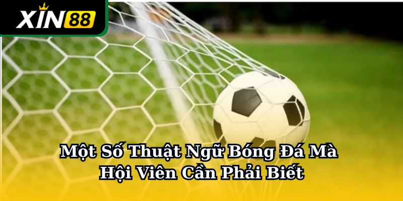 Thuật ngữ bóng đá