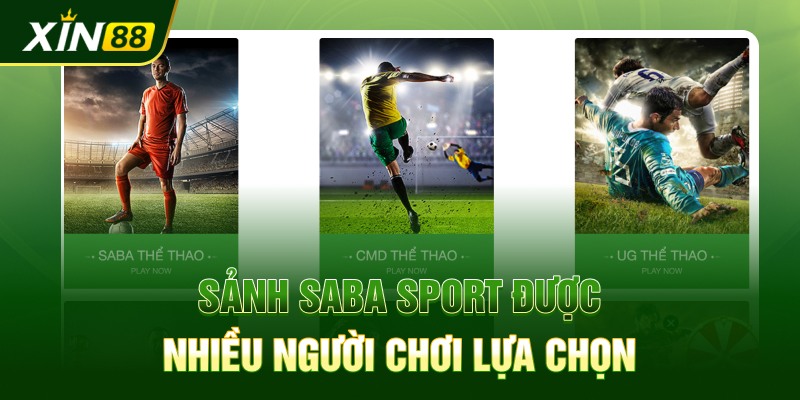 Sảnh SABA Sport được nhiều người chơi lựa chọn